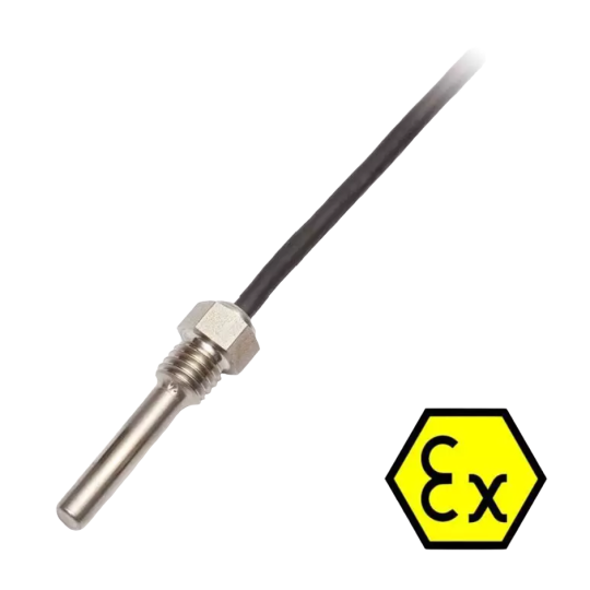 ATEX probe with IP67 connection -30 ... 180 ° C