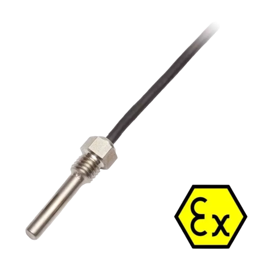 ATEX-Sonde mit IP67-Anschluss -30 ... 180 ° C