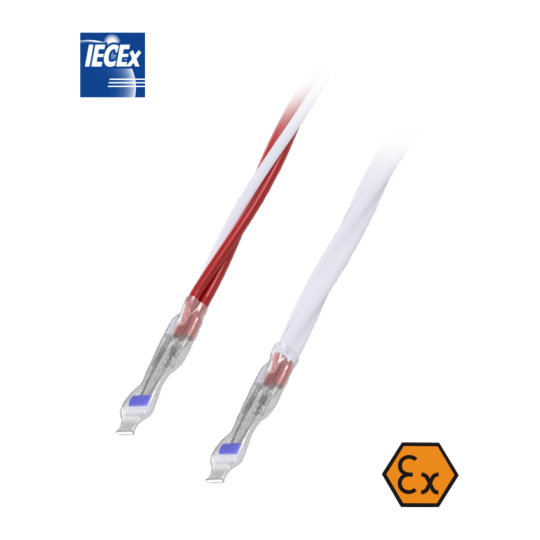 ATEX winding resistance thermometer with increased safety