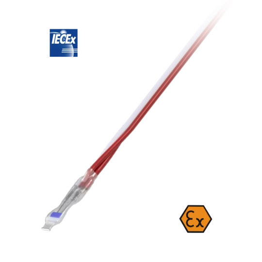 ATEX resistance thermometer with increased safety for winding