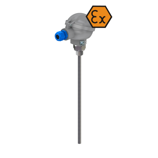 Thermomètre à résistance avec tête de connexion, insert intérieur et raccord - ATEX sécurité intrinsèque
