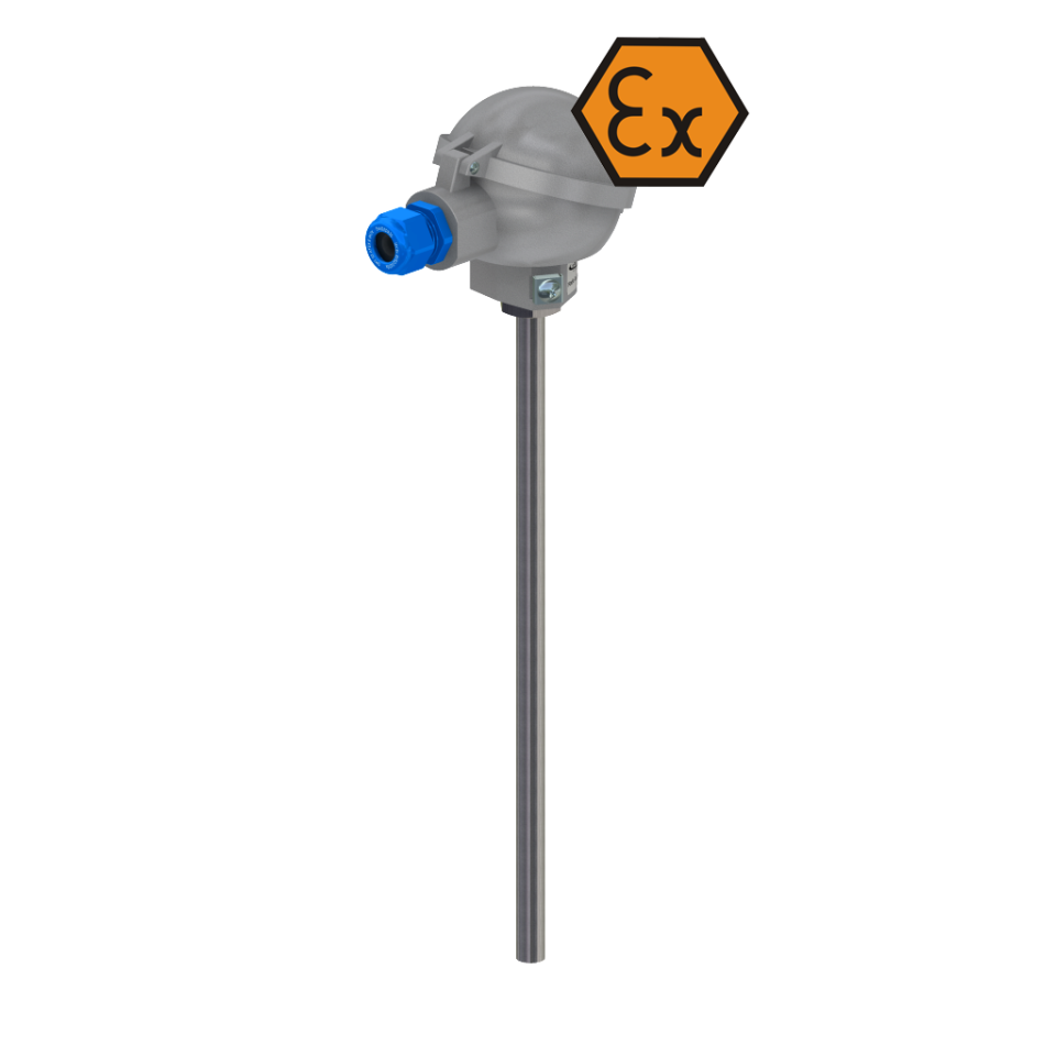Resistance thermometer with connection head and internal insert - ATEX intrinsically safe