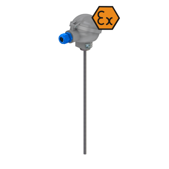 Resistance thermometer with connection head and insert - ATEX intrinsically safe