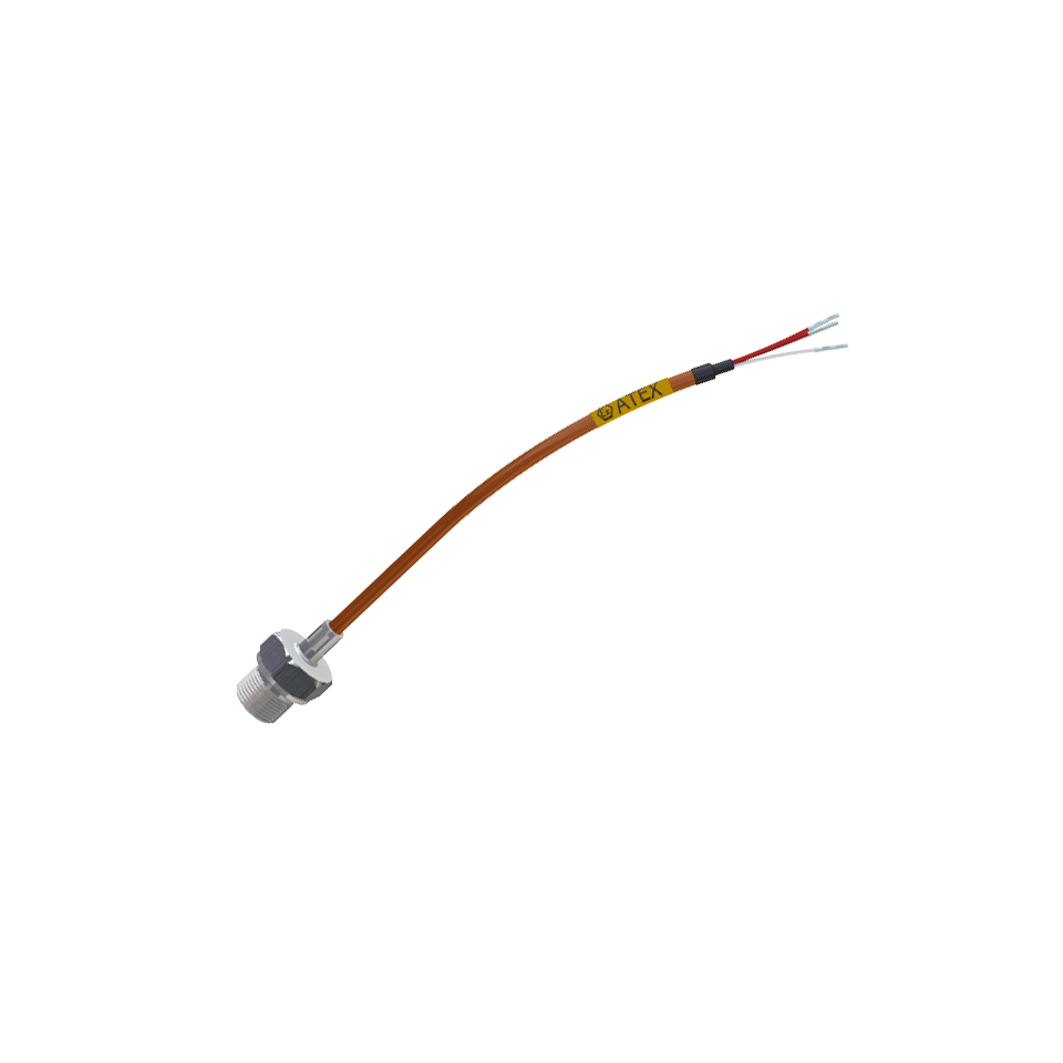 Termómetro de resistencia cableado con conexión ATEX intrínsecamente segura