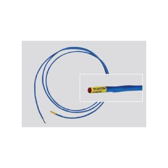 Capteur thermométrique PTSE