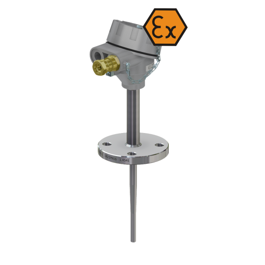 Termometru de rezistență cu cap de conectare și flanșă cu reducere - antideflagrat ATEX