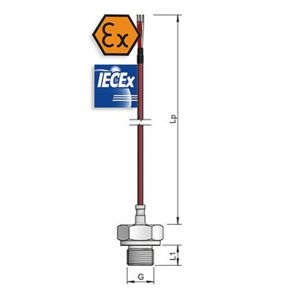 Termómetro de resistencia cableado con conexión ATEX intrínsecamente segura