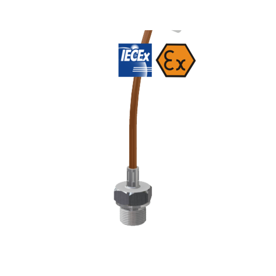 Wired resistance thermometer with intrinsically safe ATEX connection