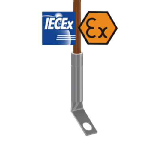 ATEX Intrinsically Safe Wired Lug Resistance Thermometer