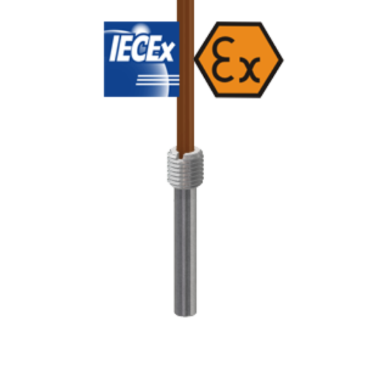 Termómetro de resistencia con cable con conexión y émbolo intrínsecamente seguros según ATEX