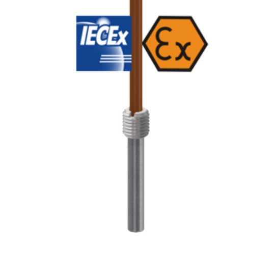Termoresistenza cablata con raccordo ATEX a sicurezza intrinseca e puntale