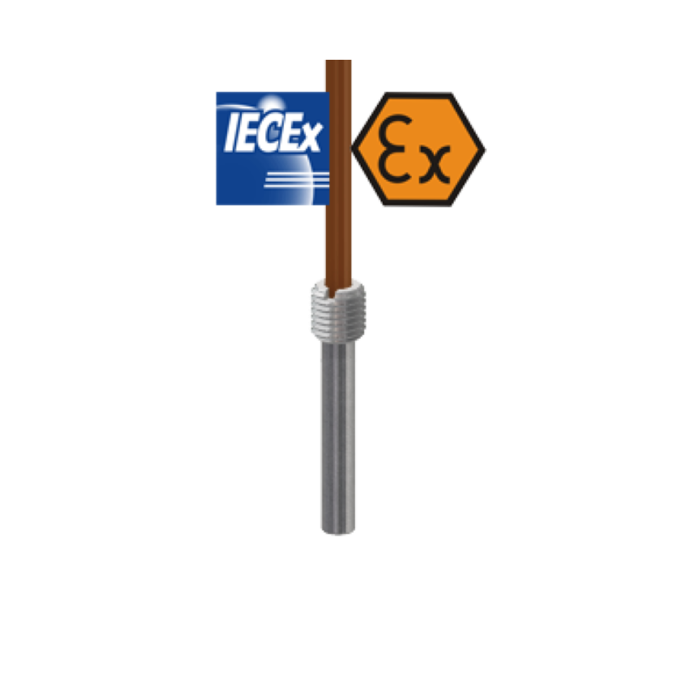 Kabelgebundenes Widerstandsthermometer mit eigensicherem ATEX-Anschluss und Kolben