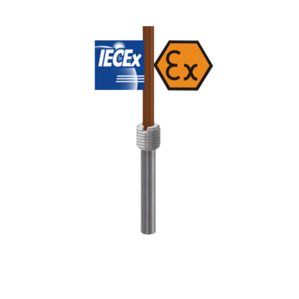 Bedrade weerstandsthermometer met ATEX intrinsiek veilige fitting en plunjer