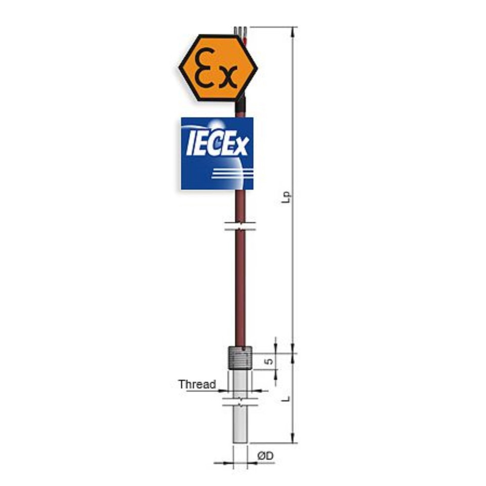 Bedrade weerstandsthermometer met ATEX intrinsiek veilige fitting en plunjer