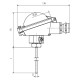 ATEX-Sonde mit Anschlusskopf (Pt100, Ni1000, NTC)