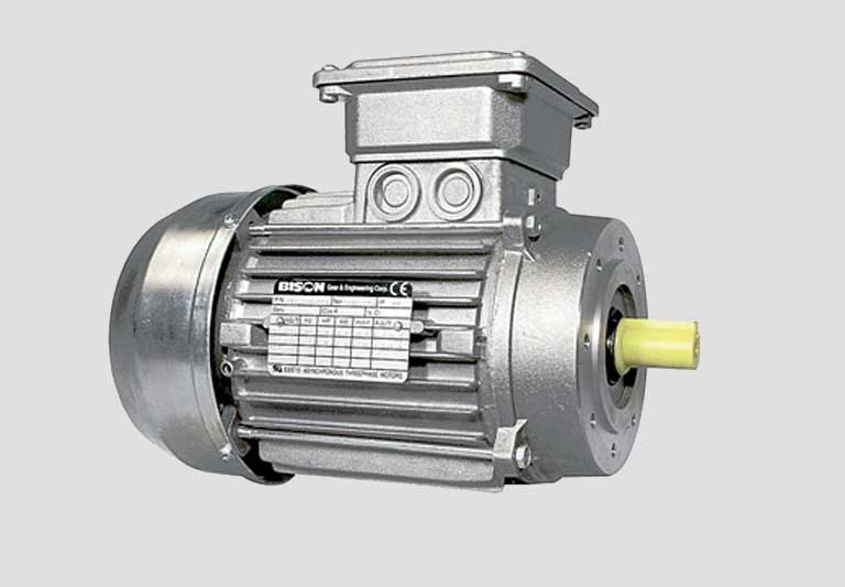 Electric motor